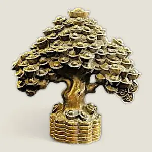 Cây Bonsai kim tiền